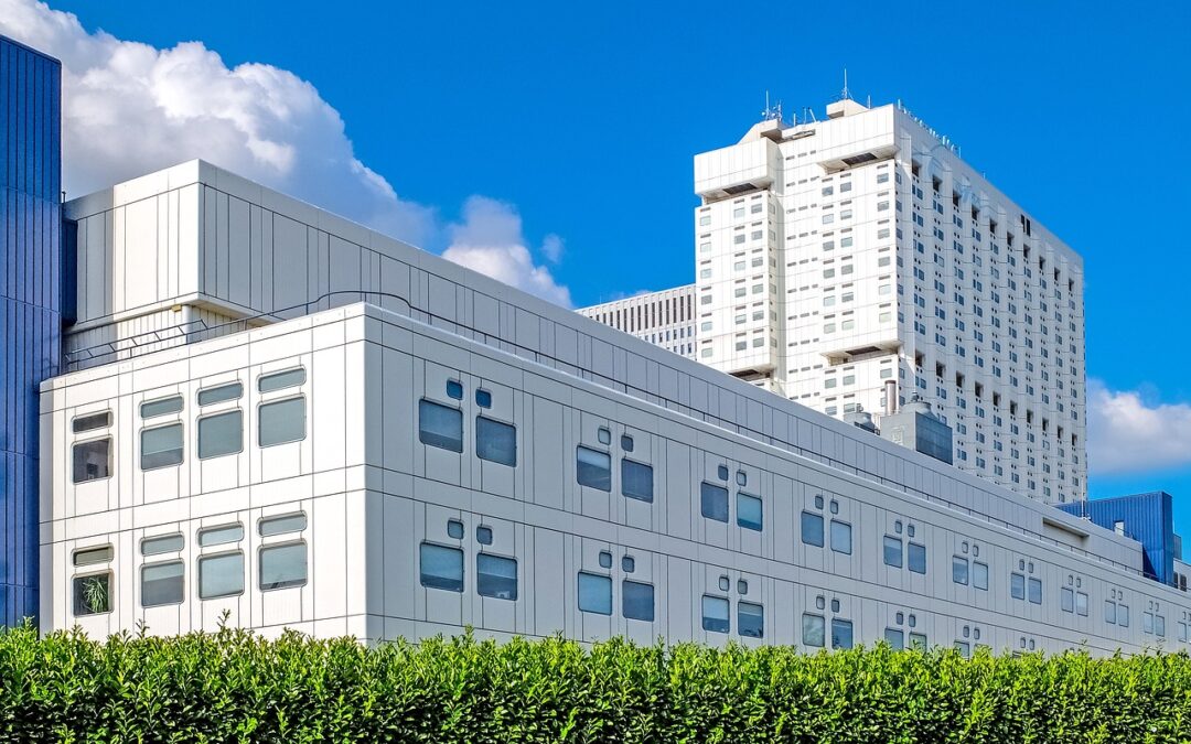 Hôpital et territoire, pourquoi il faut aligner les briques sur la vision ?