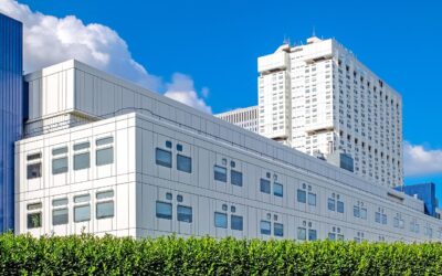Hôpital et territoire, pourquoi il faut aligner les briques sur la vision ?