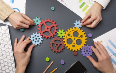 Approche systémique dans le médico-social : de la culture de mission à la culture de performance